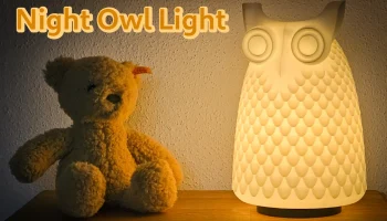 Night Owl Light