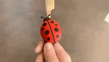 Магнит с божьей коровкой