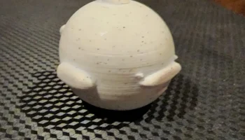 Round Fish 1