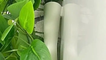 Vine Vase 2