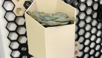HSW flower holder