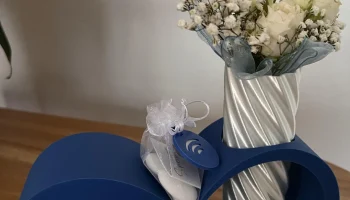 Бесконечность Ваза 1