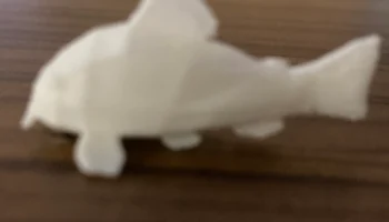Магнит Cory Catfish 8