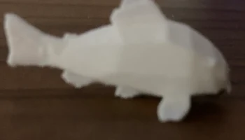 Магнит Cory Catfish 6