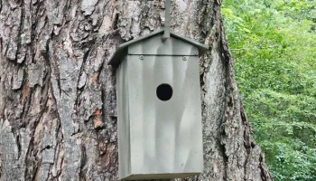 Корпус для Meshtastic в виде скворечника