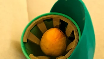 Счастливая ваза с авокадо 2