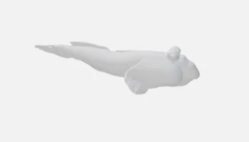 mudskipper 3