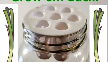 Зеленый лук Зеленый лук Mason Jar Farm Re Grow Hydroponi...