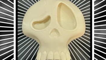 SUS Skull 2