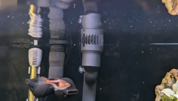 Fluval FX4 FX6 Скиммерный заборник 2