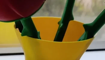 Basic Vase