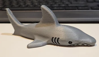 Shark 1