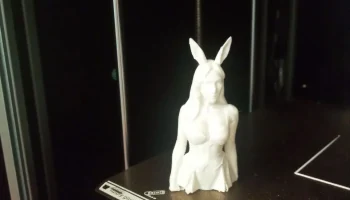 Bunny girl