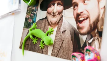 Магнит на холодильник Gecko DeskPal