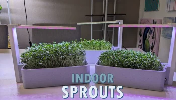 Smart Sprouts/зеленая система выращивания в помещении Smart Sprouts/зеленая система выращивания в помещении