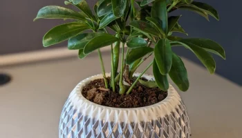 Modern Planter 002 - Скрытый поддон для капель 2