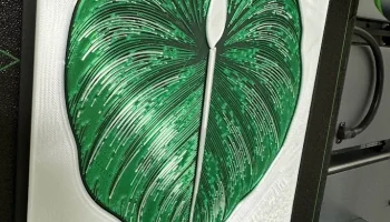 Ikea Greenhouse - Wall Art - 3D Картина - Филодендон - Ру... 4