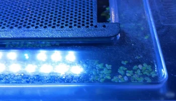 Крышка отсека для аквариума Fluval Spec V для аманоса и к... 3