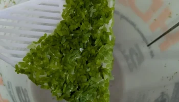 Лопатка для ряски 1