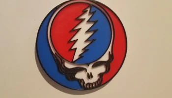 Grateful Dead Magnet - Укради свое лицо 1