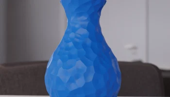 Вороной Ваза