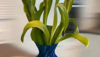 Funky vase 1