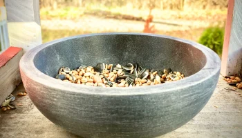 Solid Bowl 2