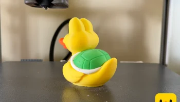 Koopa Troopa Duck 4