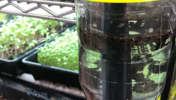 Мини-вихревой фильтр Aquaponic (или стандартный фильтр) 2