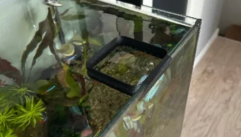 Кормушка для кормления аквариумных рыбок.... 2