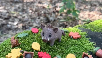 Лесной кабан