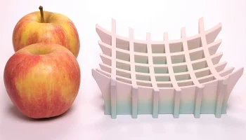 Решётчатая Чаша 2