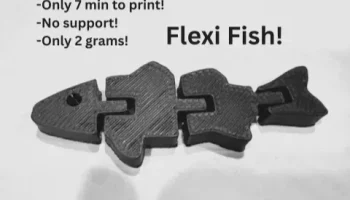 Flexi Fish