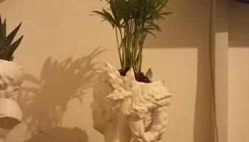 vase angel 4