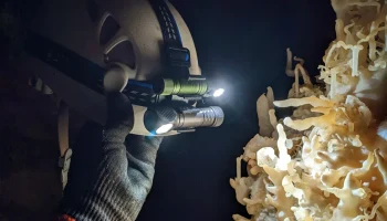 Крепление Skilhunt HB3 для Zebralight H600 и Emisar D2 2