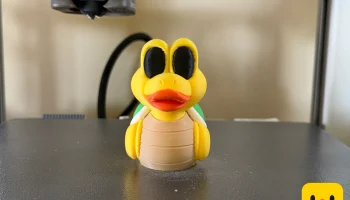 Koopa Troopa Duck 3