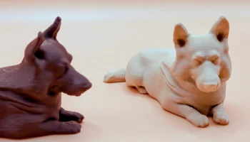Корги собака 1