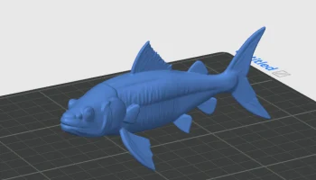 Carpa Fish