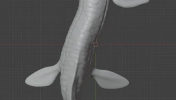 Австралийская двоякодышащая рыба (Neoceratodus forsteri) 3