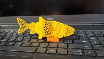 Fancy-Schmancy Flexi-Maxi Fish 1