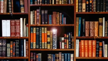 Вставка для книжной полки - Волшебная книга 3