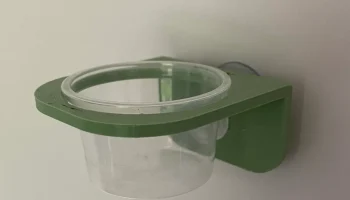 Gecko Dish