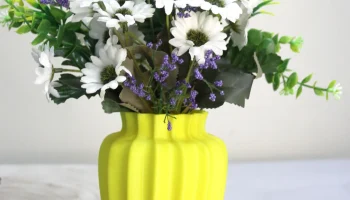 Vase Forum