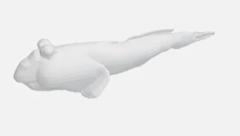 mudskipper 1