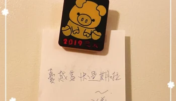 Pig magnet 1