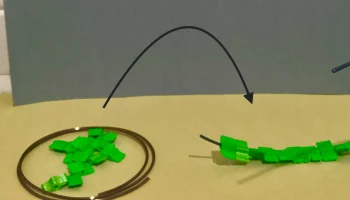 Низкополигональный набор коралловых рифов Немо... 5
