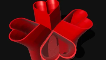 Heart Vase 2