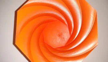 Spiral Bin 1