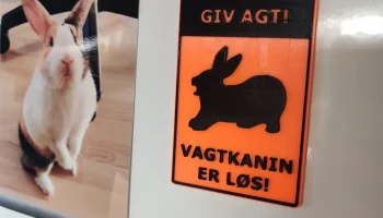 Магнит - Giv Agt! Канин