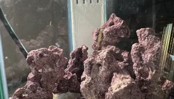 Micro Reef All In One Stand Sump 3